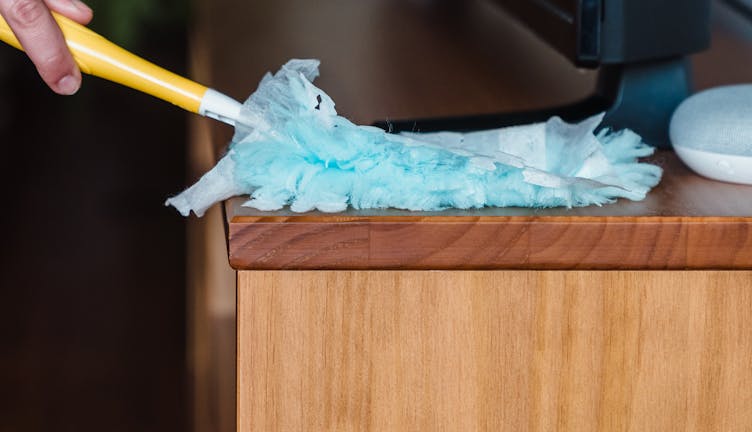 Elevating Cleanliness: Targeting Allergens with Precision